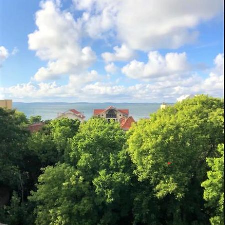 Appartement vue sur baie et océan, 100 m de la plage et du centre par chemin privé Arcachon Extérieur photo