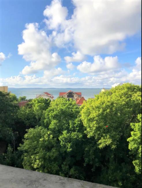 Appartement vue sur baie et océan, 100 m de la plage et du centre par chemin privé Arcachon Extérieur photo
